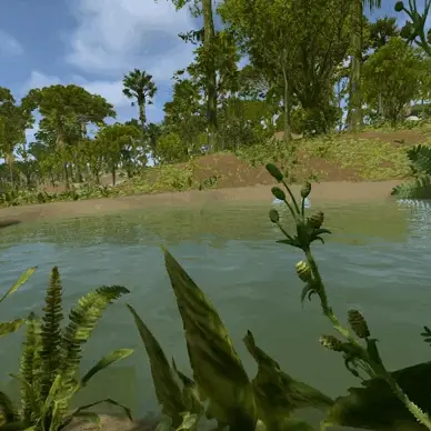 Jungle swamps +