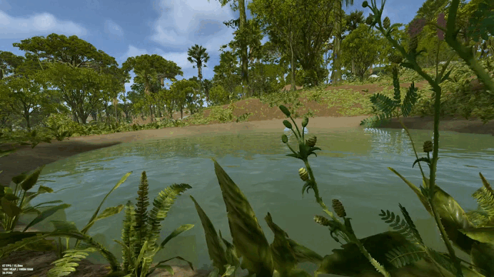 Jungle swamps +